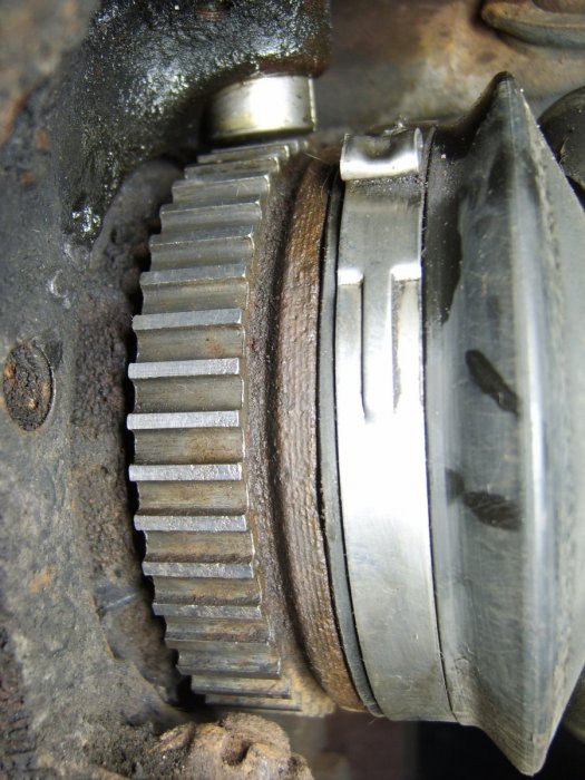 STA75741.thumb.JPG.e73f6452dfc0008d5fa972fdc57a3b1f.JPG