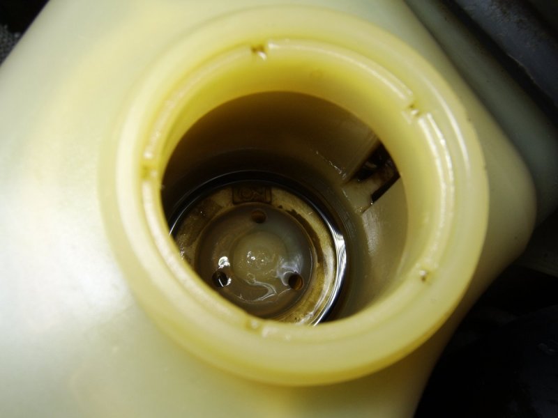 STA75806.thumb.JPG.aaa708bccefccb5bbf2514f8c4b307d1.JPG