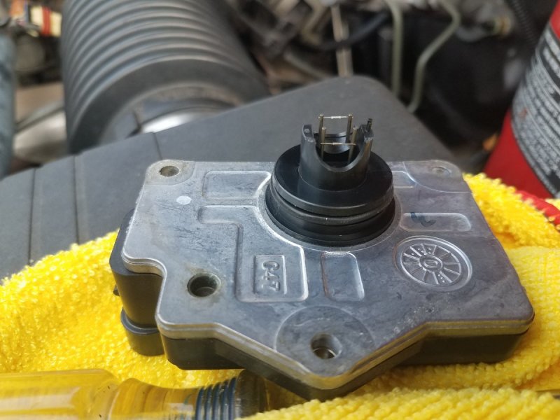 20210721_080018 (3).jpg