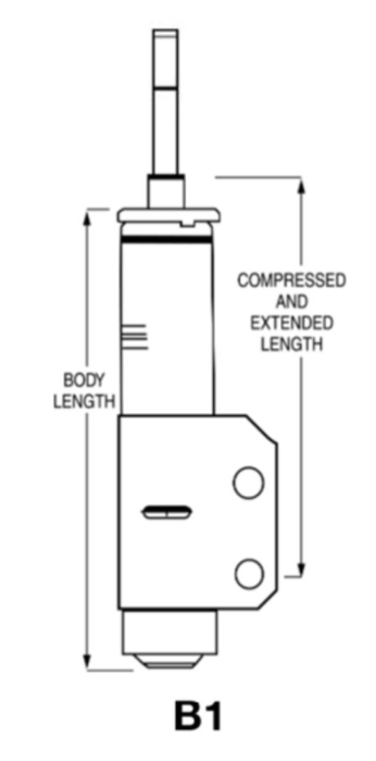 Monroe B1 Strut.PNG