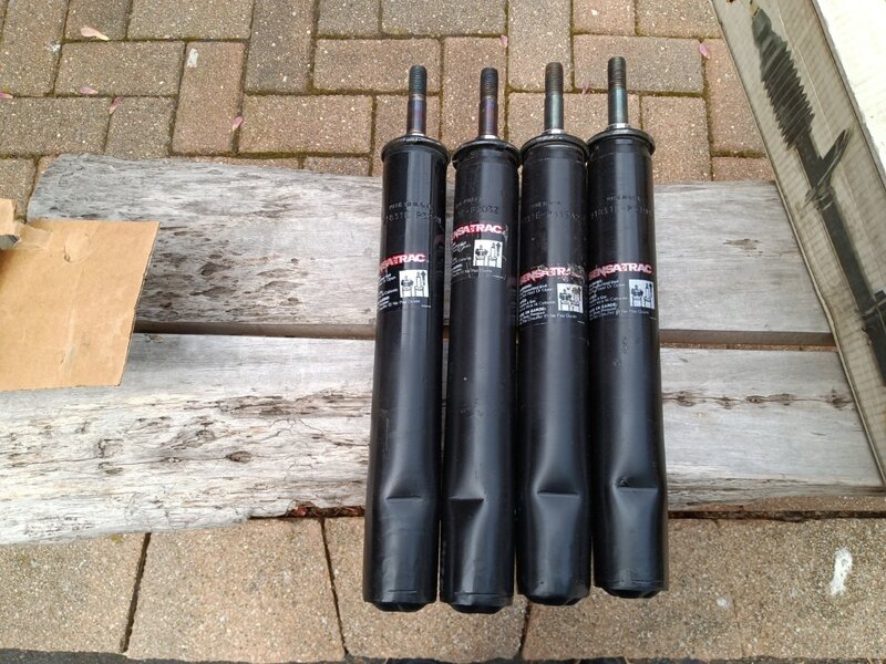Daves rear struts.jpg