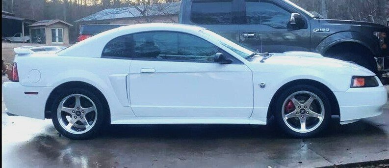 mustang wheels-1jpeg.jpeg